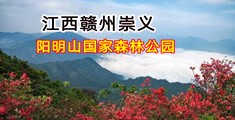 热逼视频
